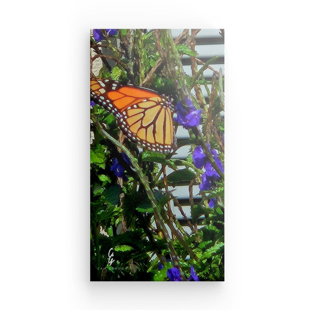 RM.24.014 Canvas