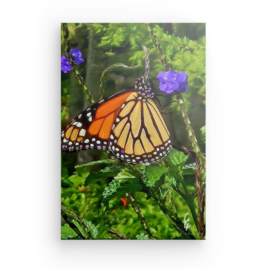 RM.24.015 Canvas