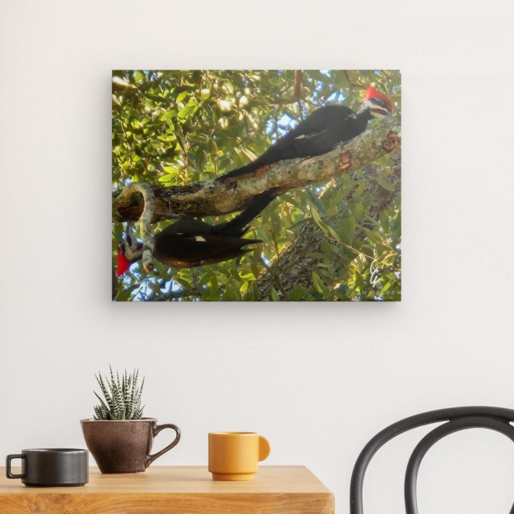 RM.24.017 Canvas