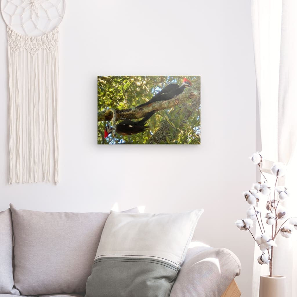 RM.24.017 Canvas