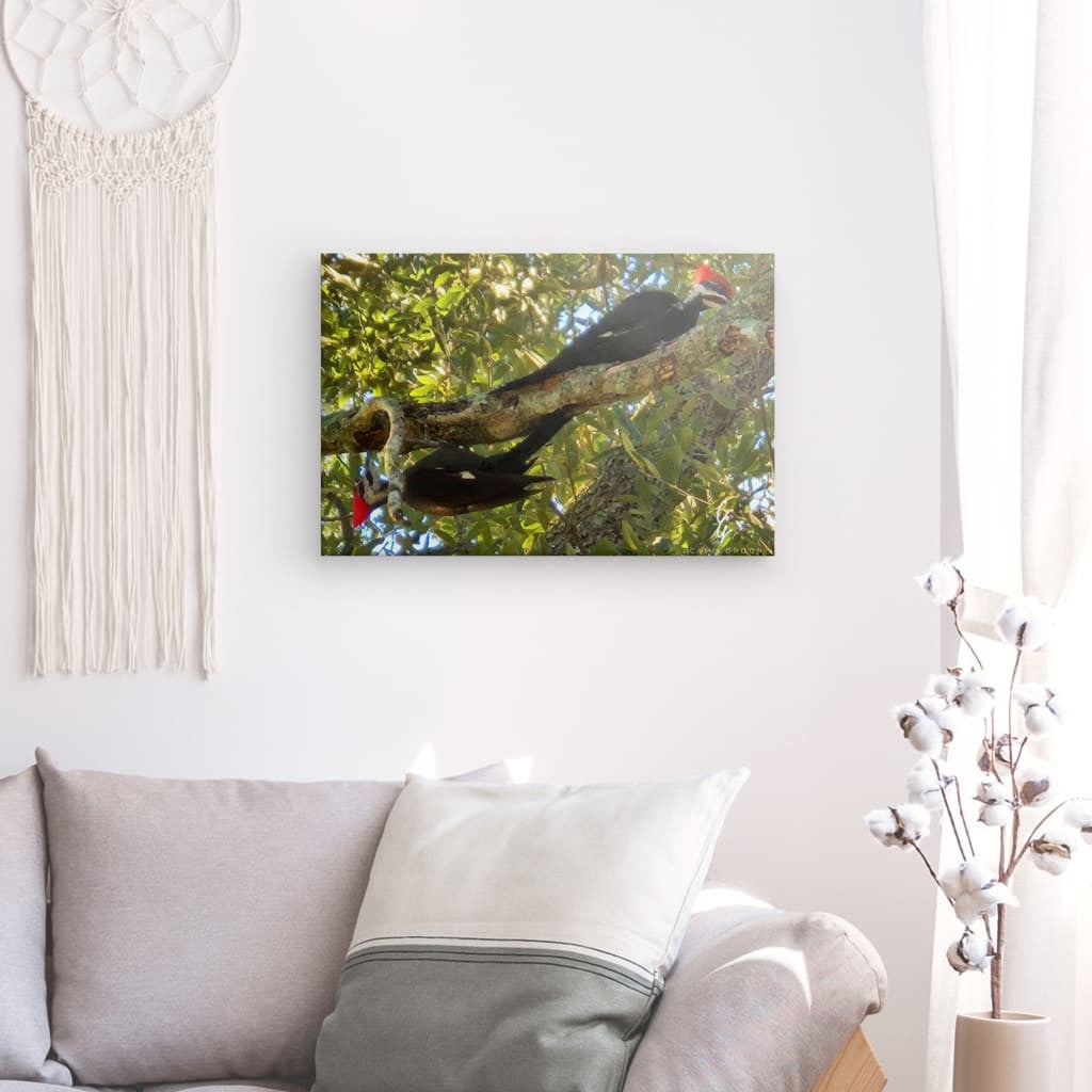 RM.24.017 Canvas