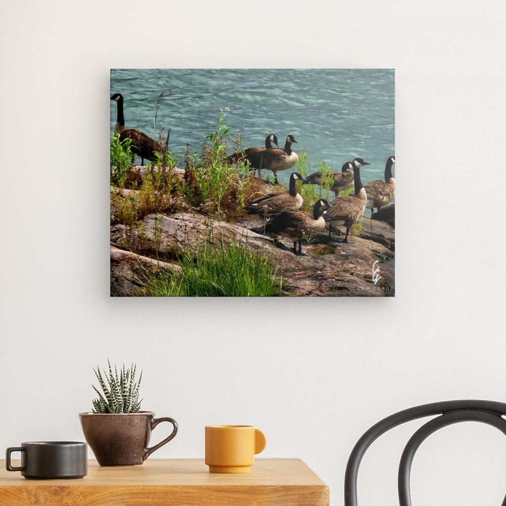 RM.24.019 Canvas