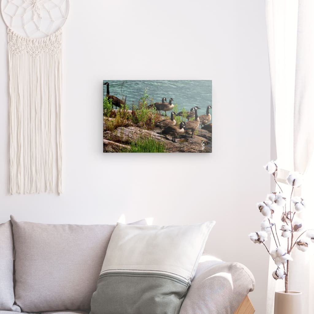 RM.24.019 Canvas