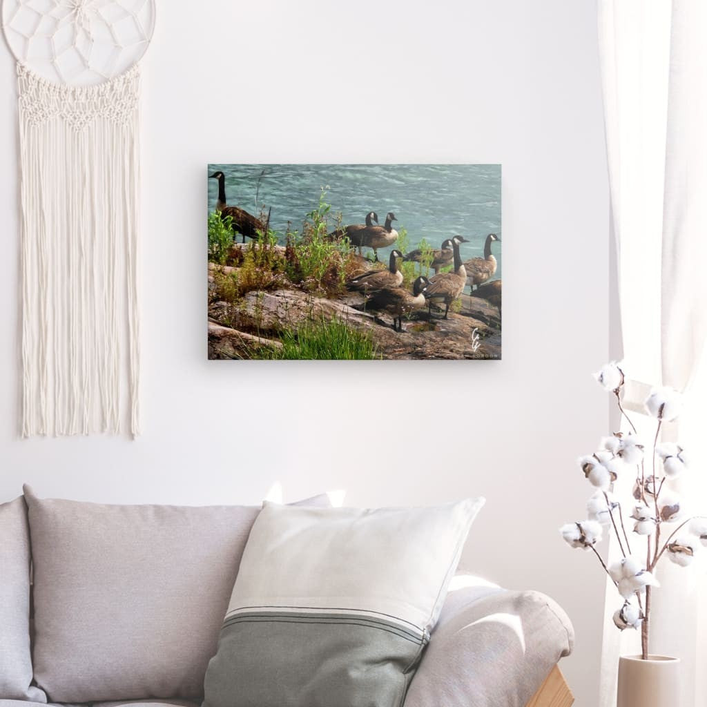 RM.24.019 Canvas