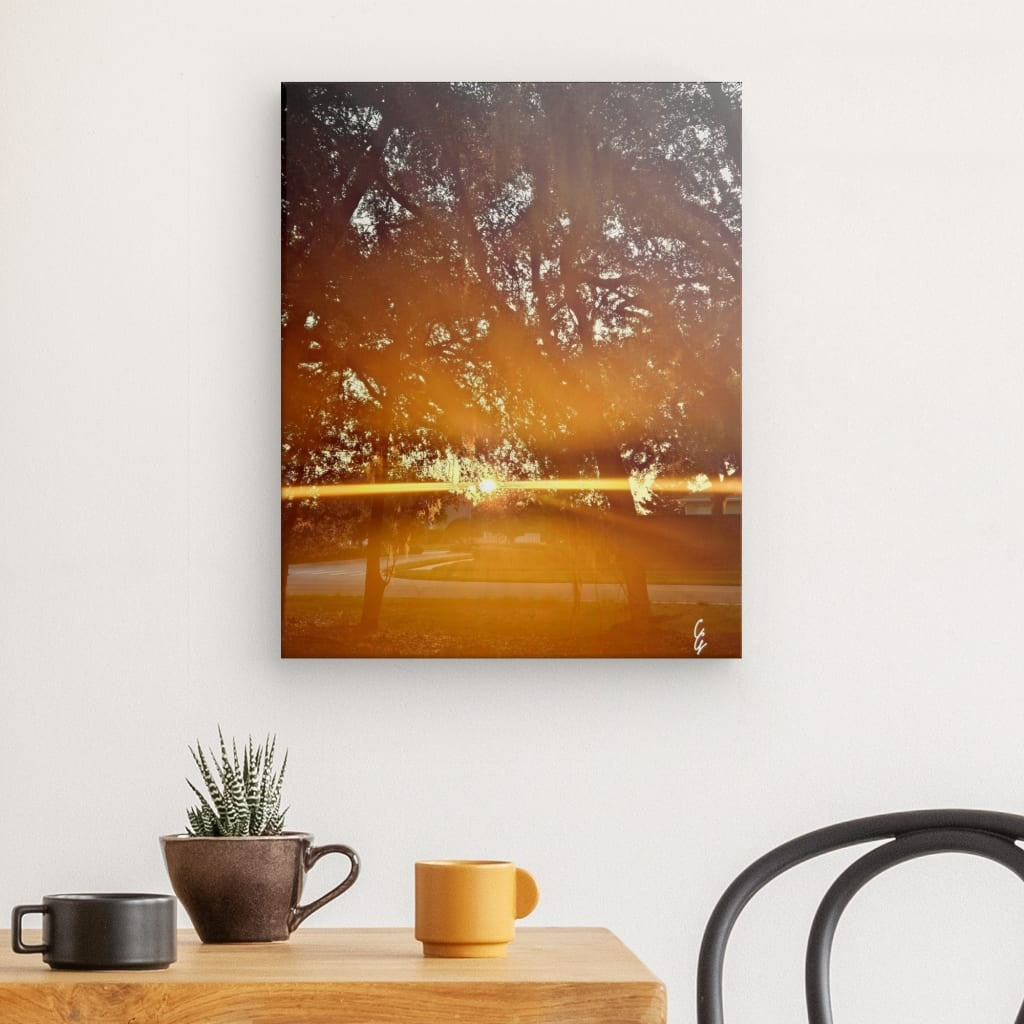 SR.24.039 Canvas