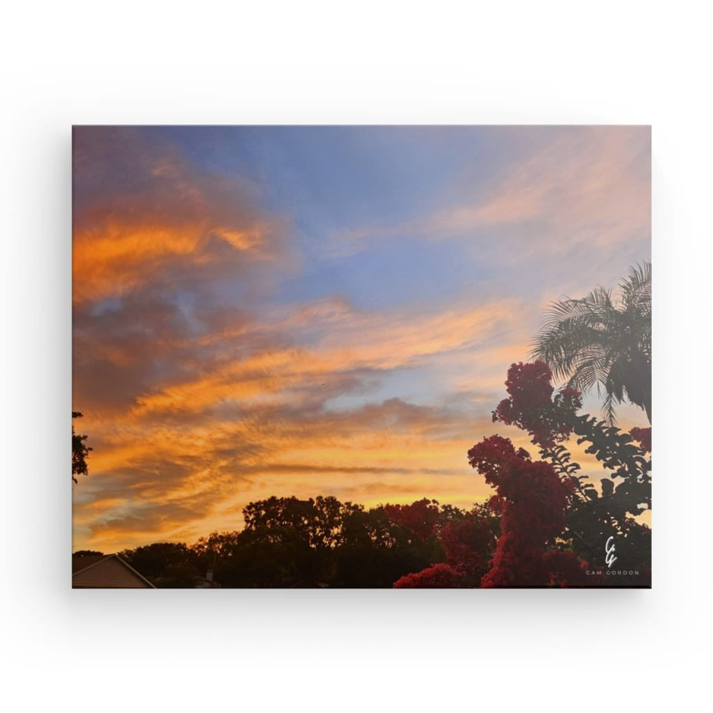 SR.24.044 Canvas