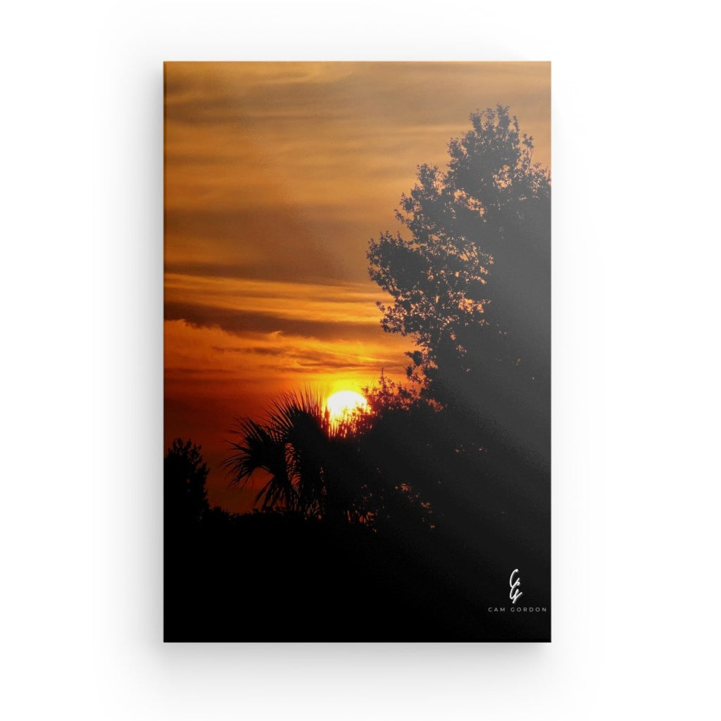 SS.25.069 Canvas