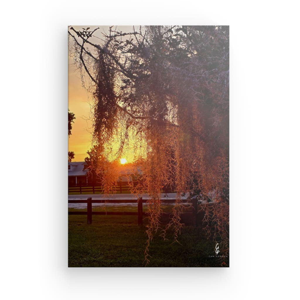 SR.25.084 Canvas