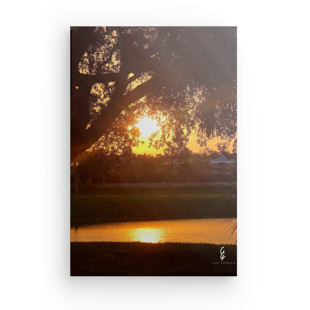 SR.25.085 Canvas