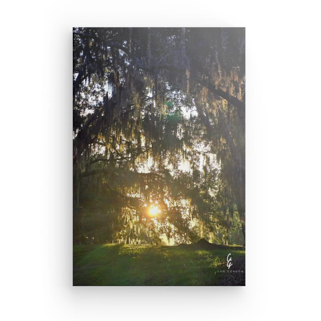 SR.25.106 Canvas