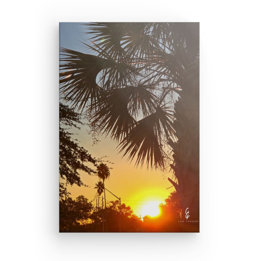 SR.25.113 Canvas