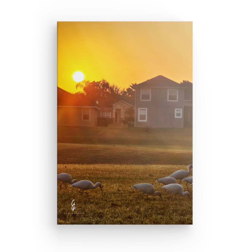SR.25.117 Canvas