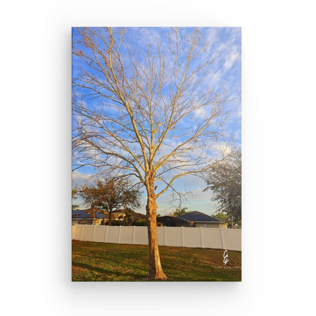 RM.25.032 Canvas