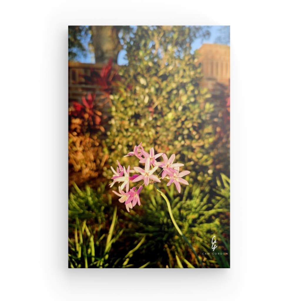 RM.25.034 Canvas