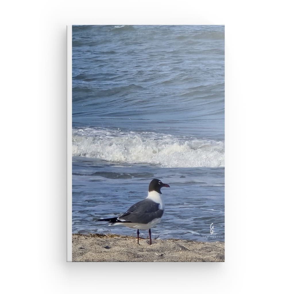 RM.25.036 Canvas