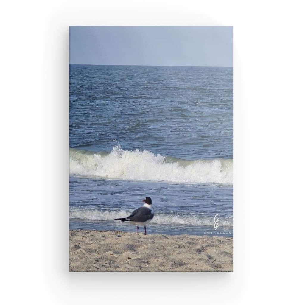 RM.25.037 Canvas