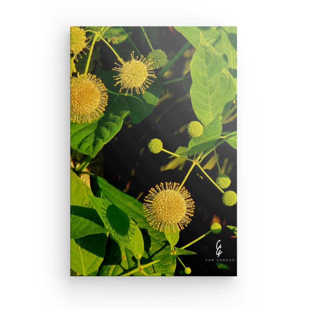 RM.25.039 Canvas