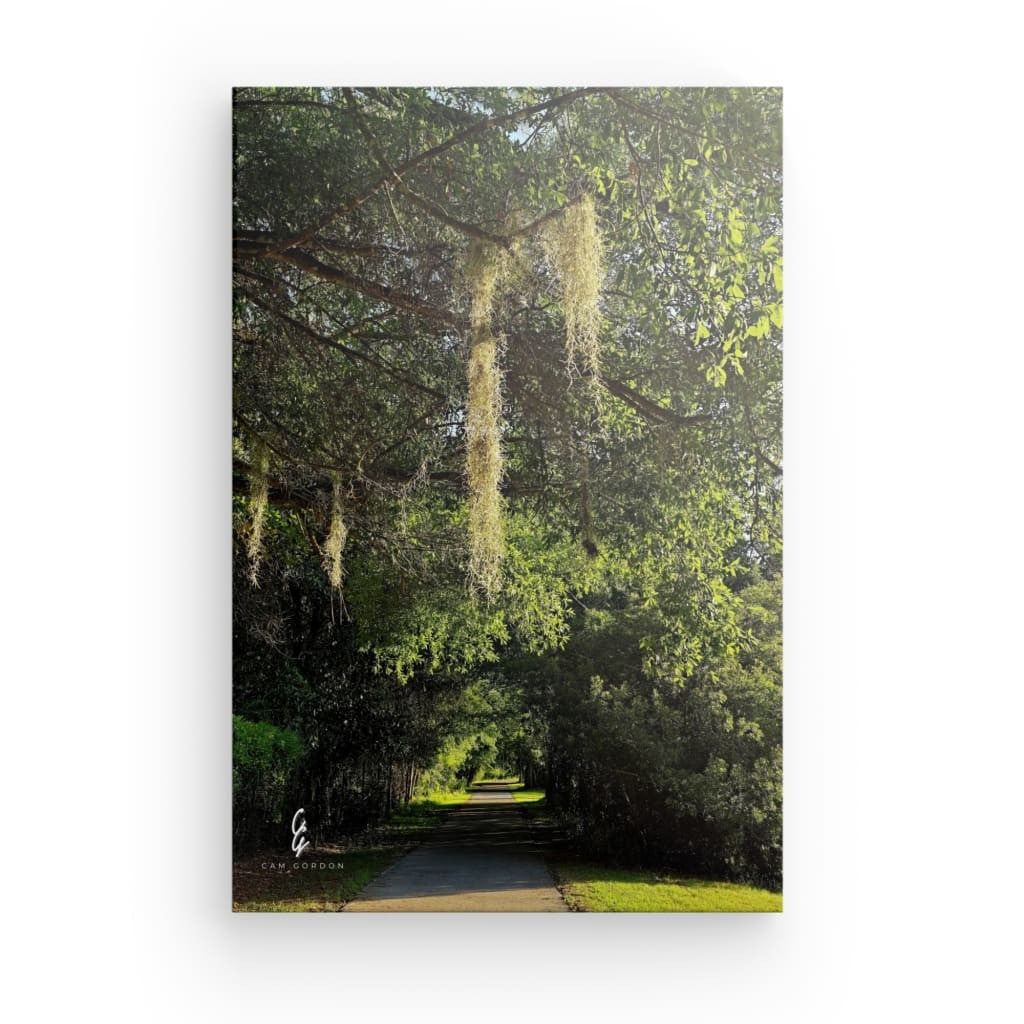 RM.25.043 Canvas