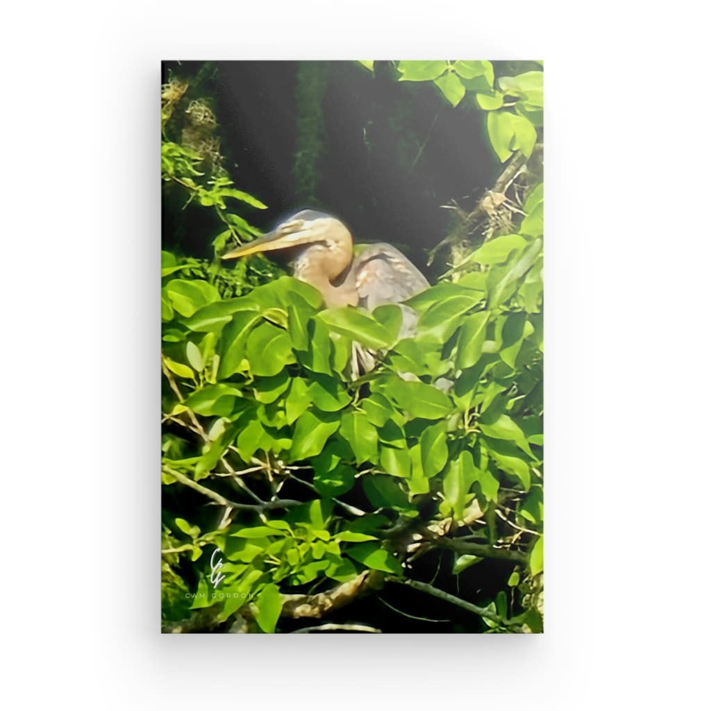 RM.25.044 Canvas