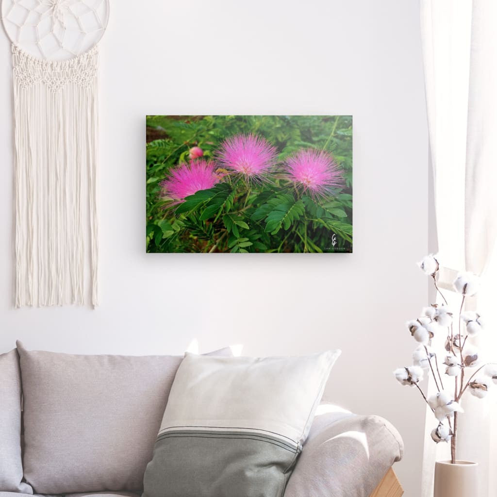 RM.25.046 Canvas