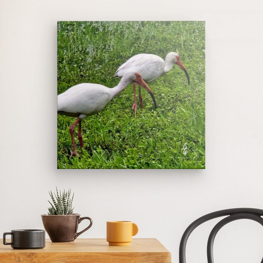RM.25.051 Canvas