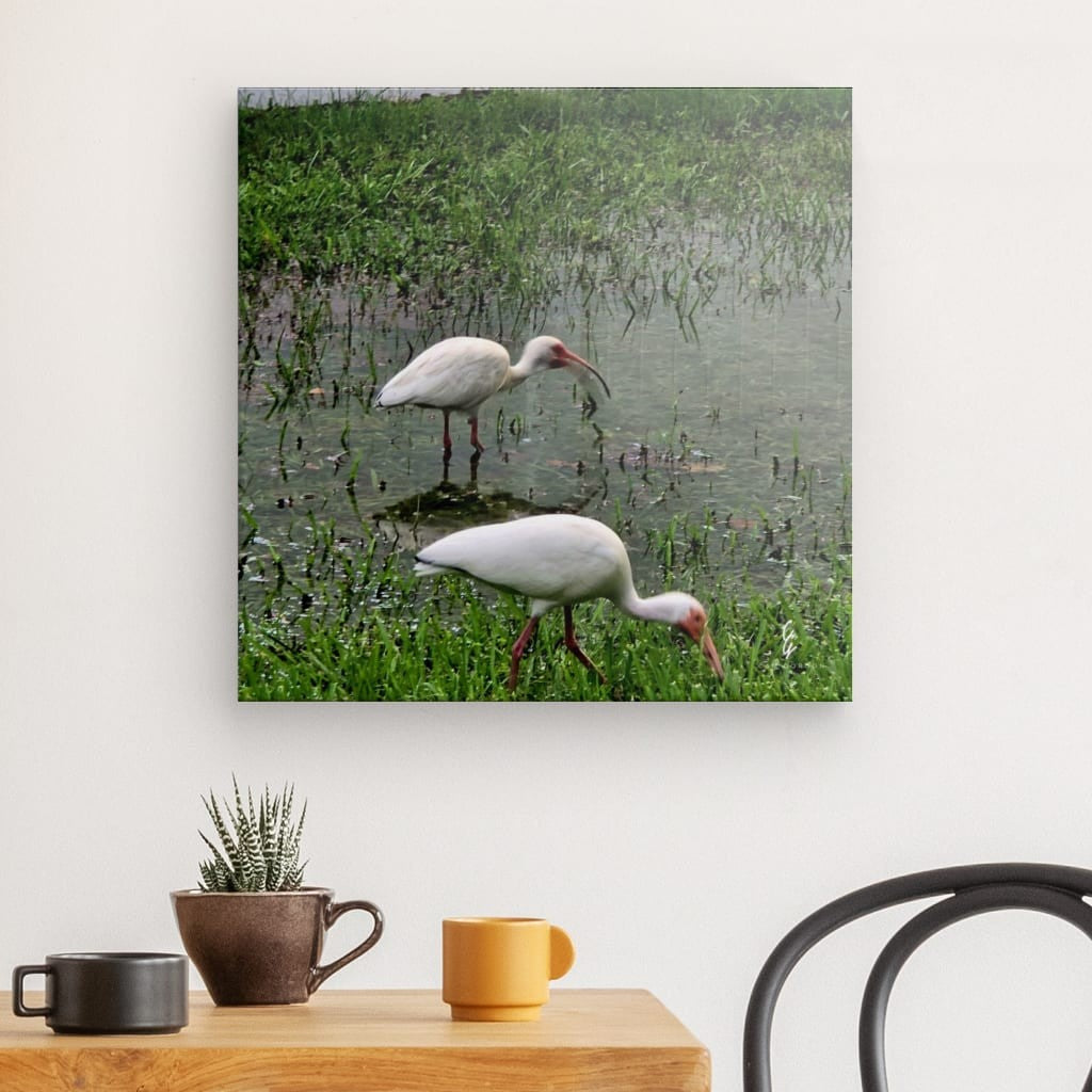RM.25.052 Canvas