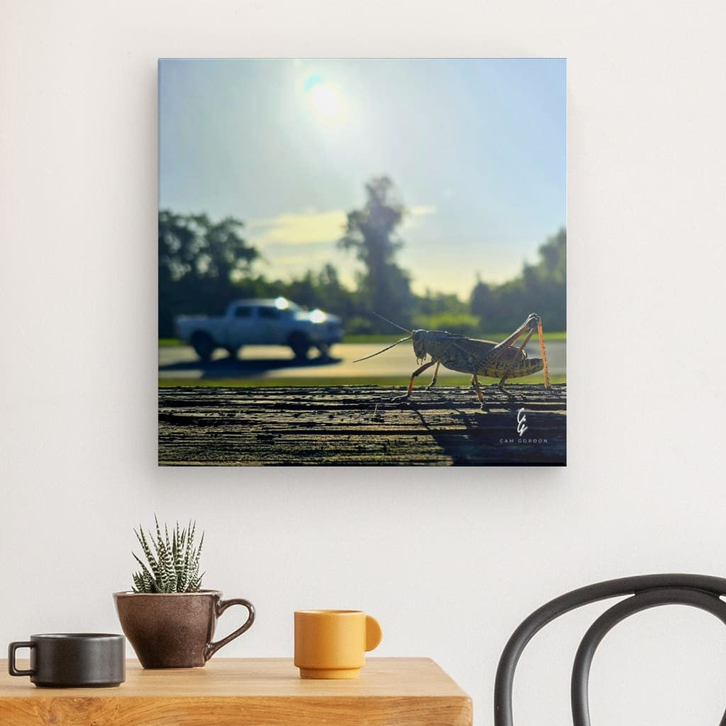 RM.25.053 Canvas
