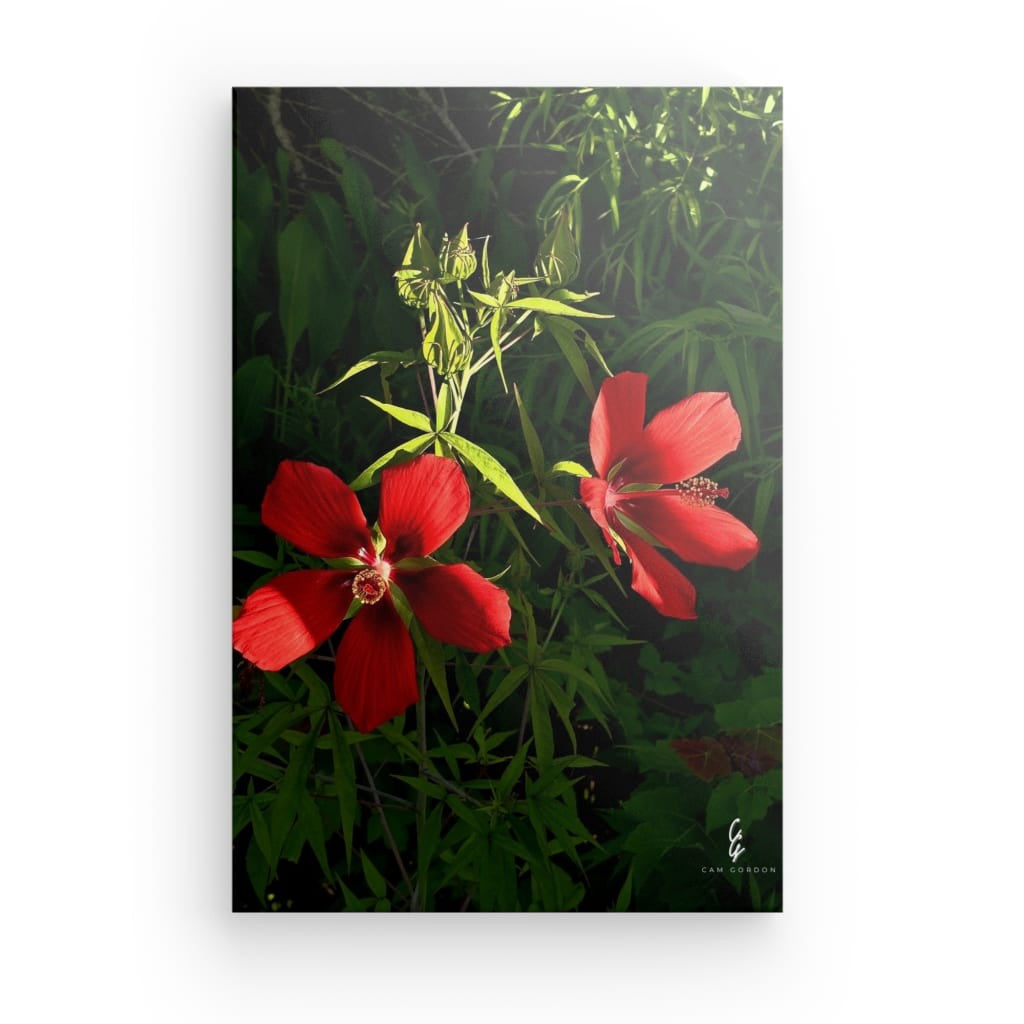 RM.25.055 Canvas