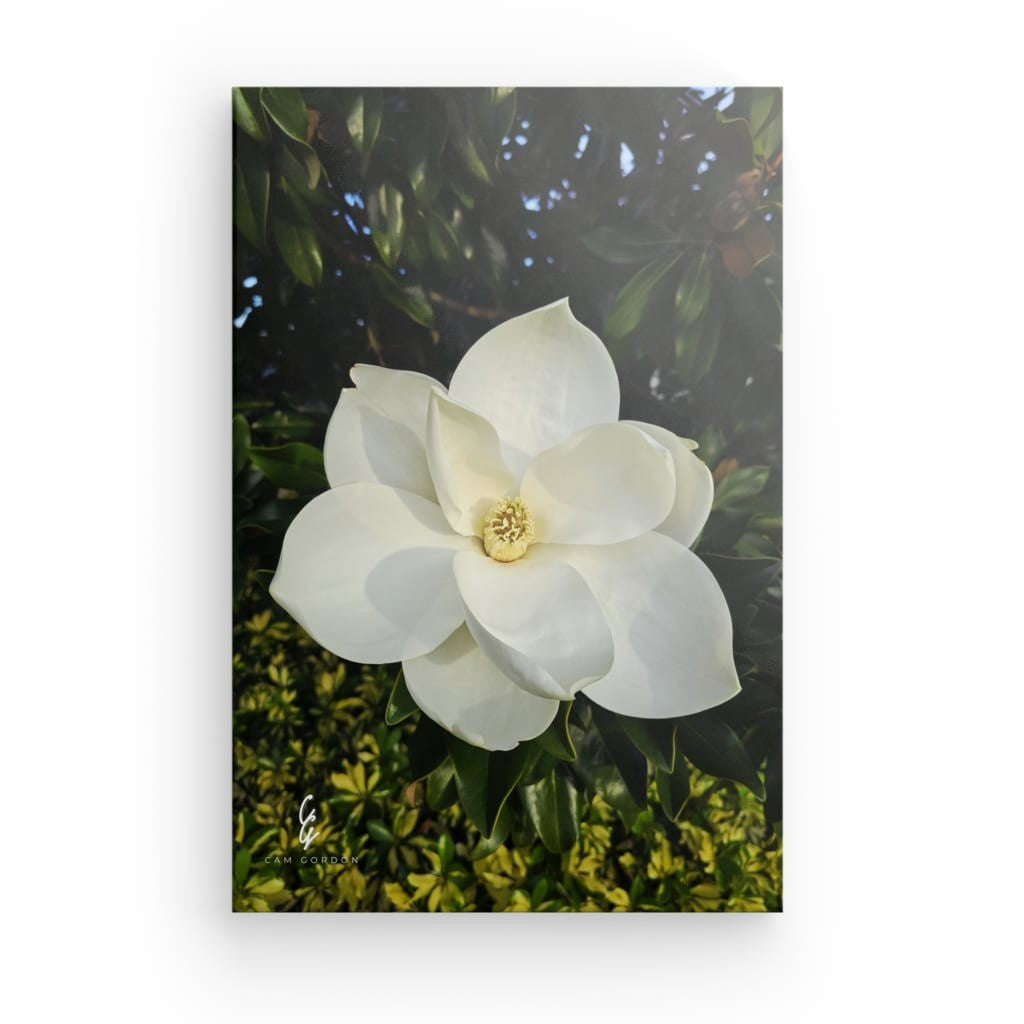 RM.25.056 Canvas