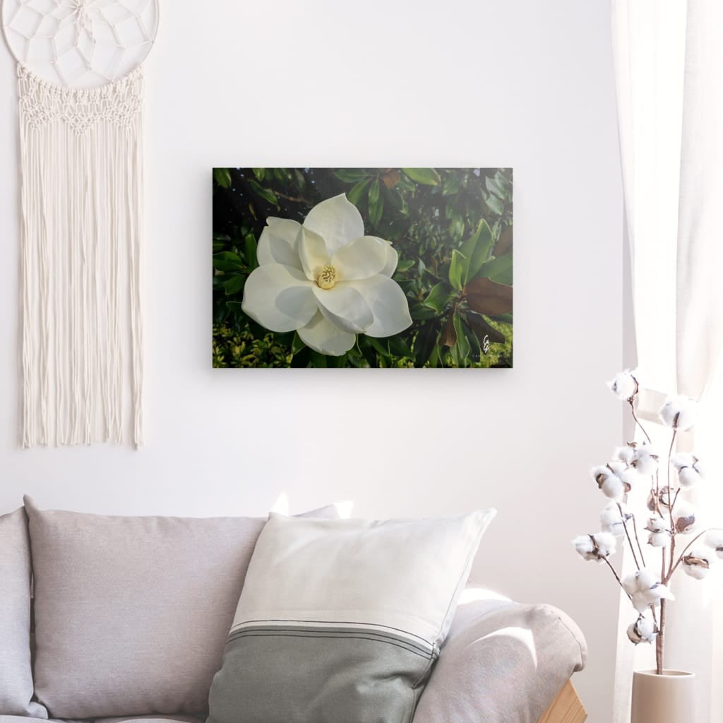 RM.25.057 Canvas