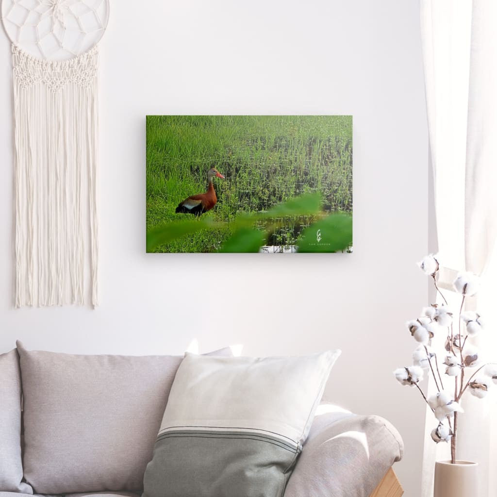 RM.25.063 Canvas