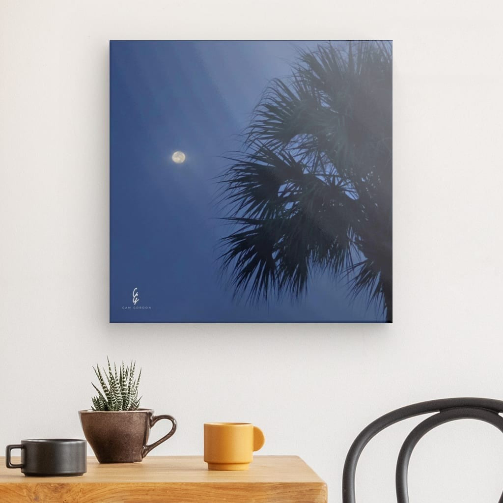 MP.25.028 Canvas