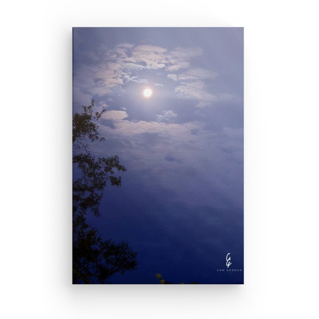 MP.25.031 Canvas