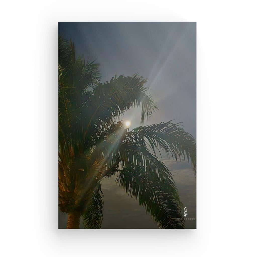 MP.25.033 Canvas
