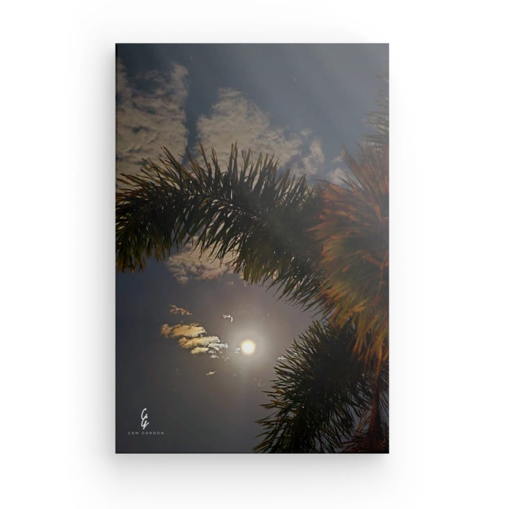 MP.25.035 Canvas