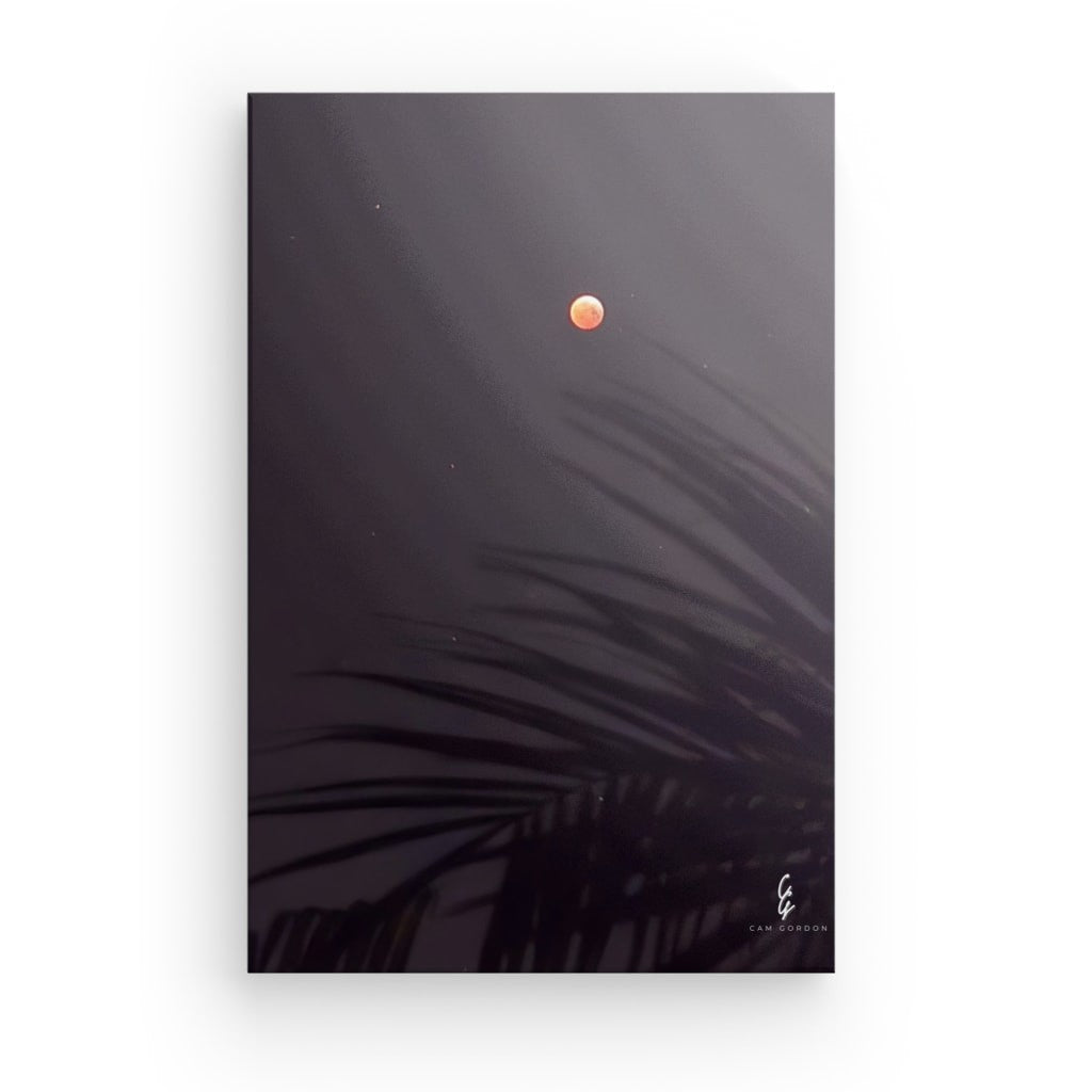 MP.25.042 Canvas