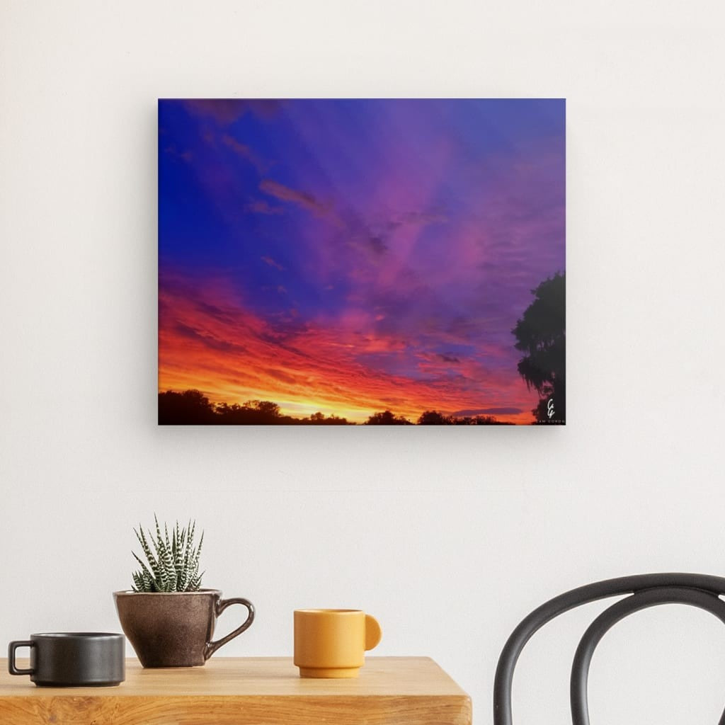 SS.19.001 Canvas