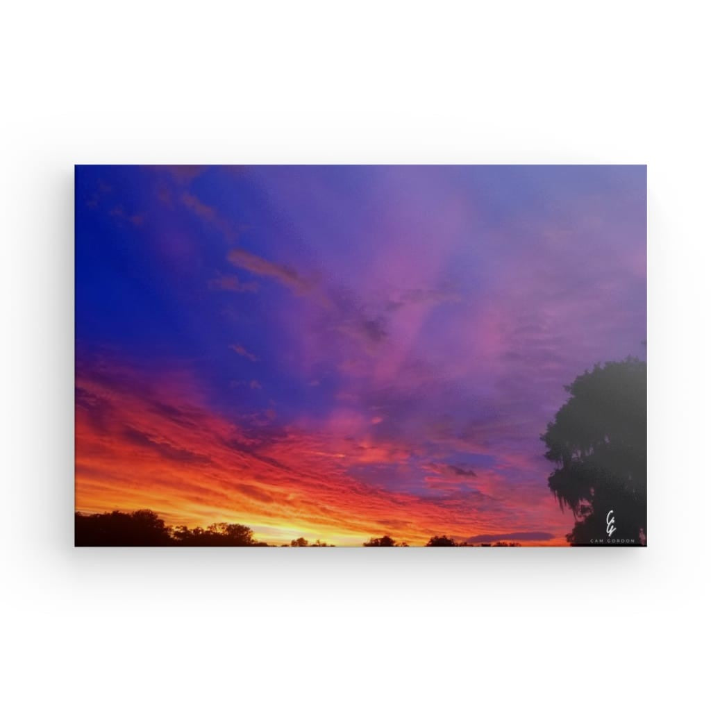 SS.19.001 Canvas