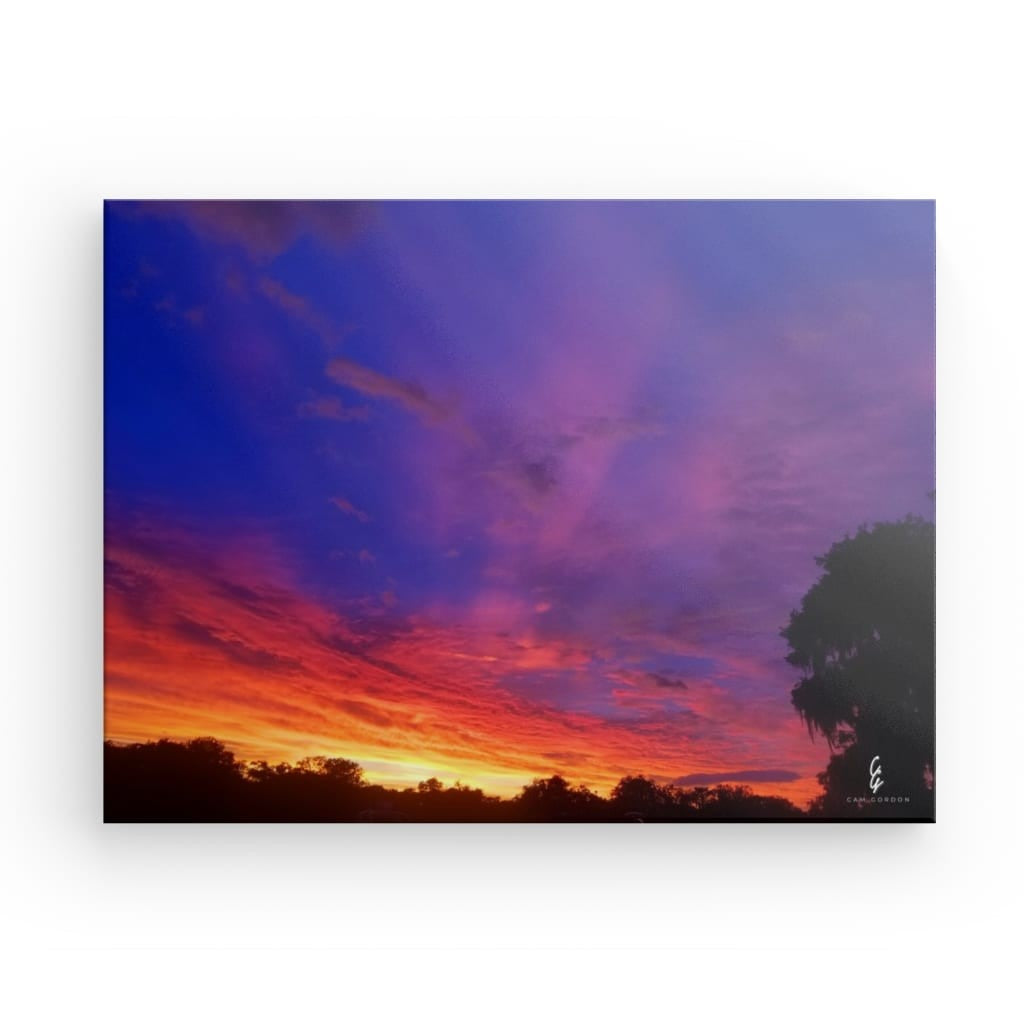 SS.19.001 Canvas
