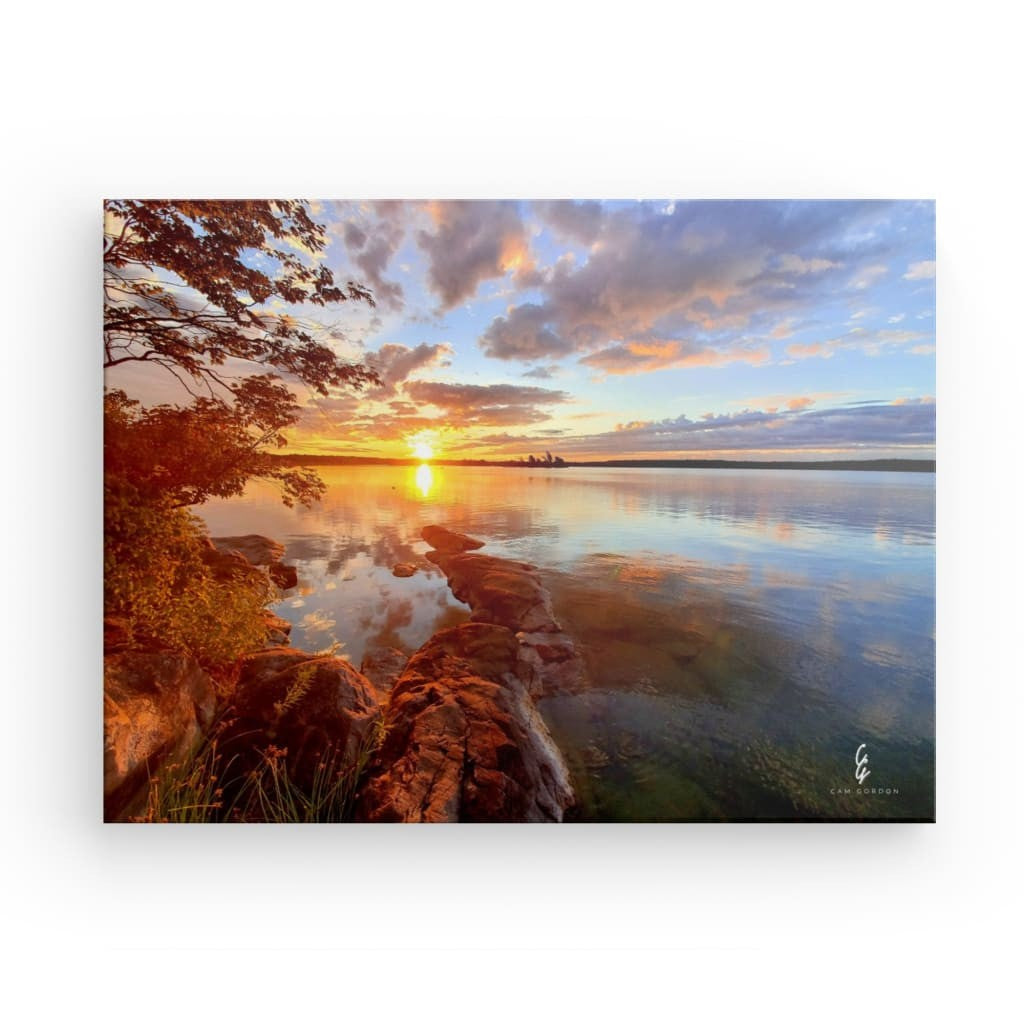 SR.20.003 Canvas
