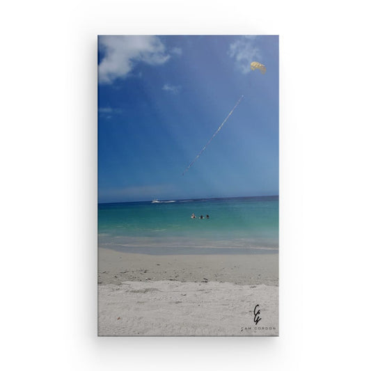PW.23.017 Canvas
