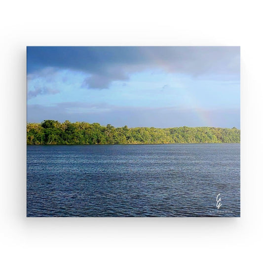 PW.23.016 Canvas