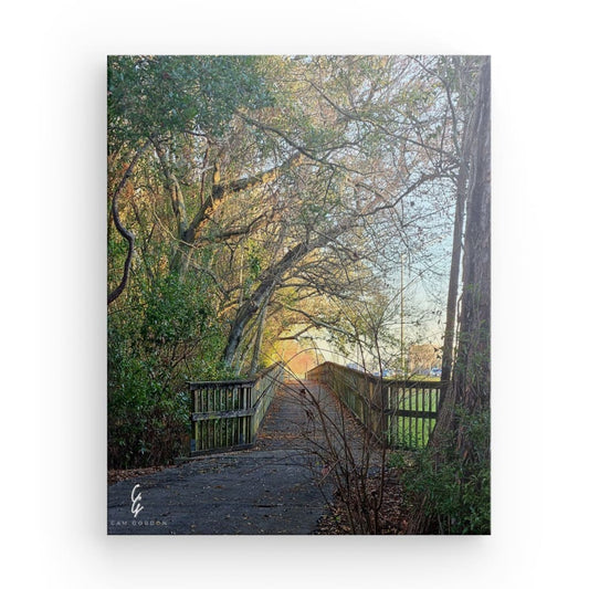 RM.24.009 Canvas