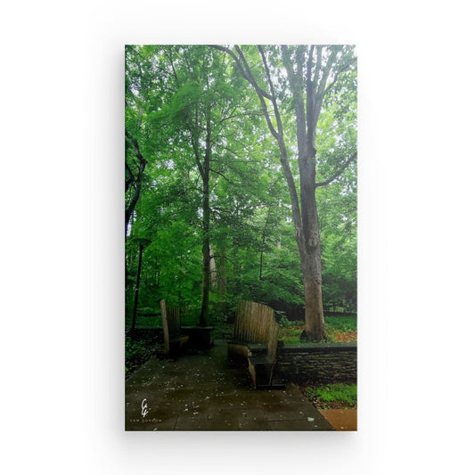 RM.22.001 Canvas