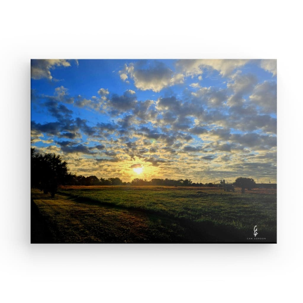 SR.23.029 Canvas