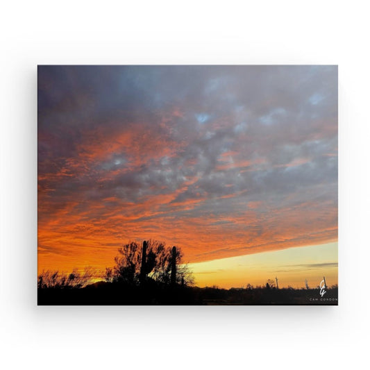 AD.24.004 Canvas