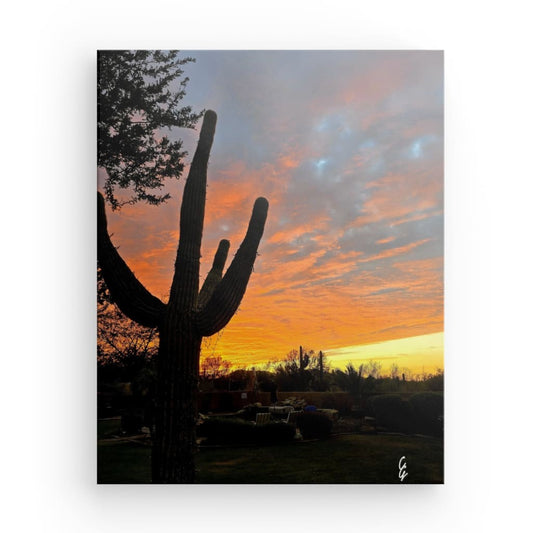 AD.24.005 Canvas