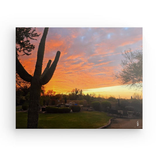 AD.24.006 Canvas