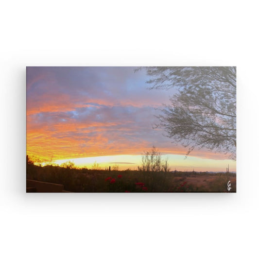 AD.24.007 Canvas