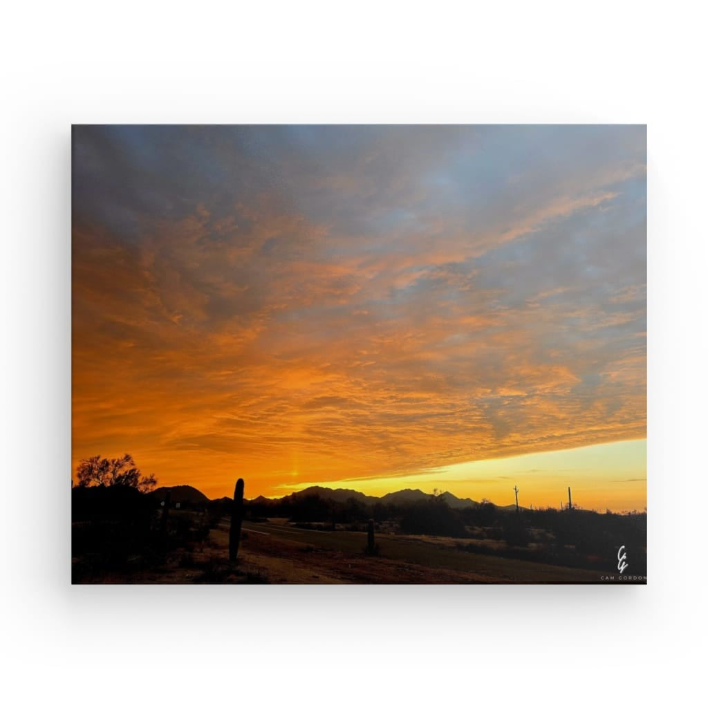 AD.24.008 Canvas